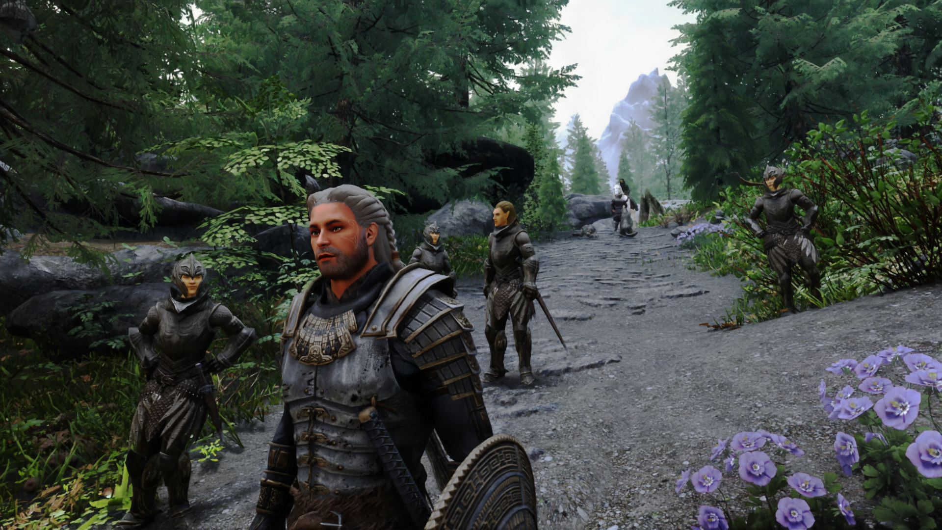 Dragonborn And Thalmor - Move Along